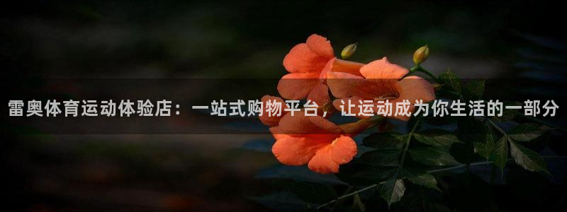 皇冠678体育