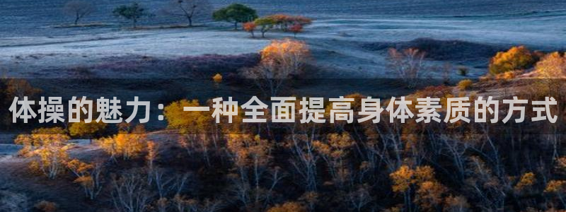 678体育官网地址