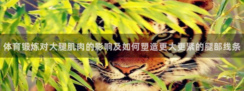 678体育