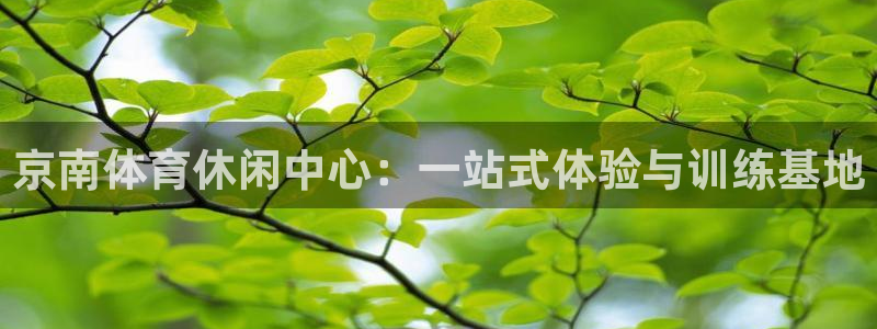 678体育官网下载