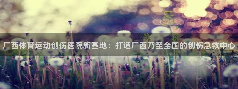 678体育app