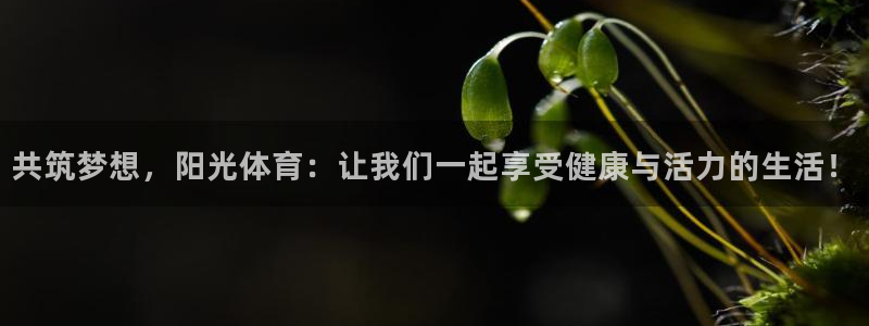 678体育官网