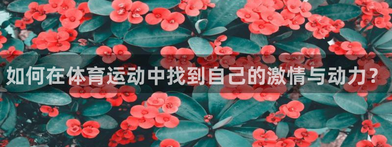678体育