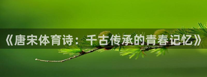 678体育官网地址