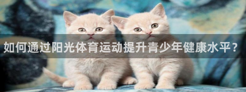 678体育官网地址
