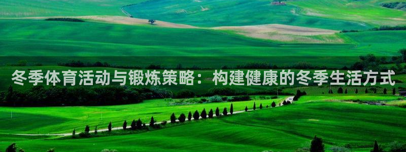 678体育