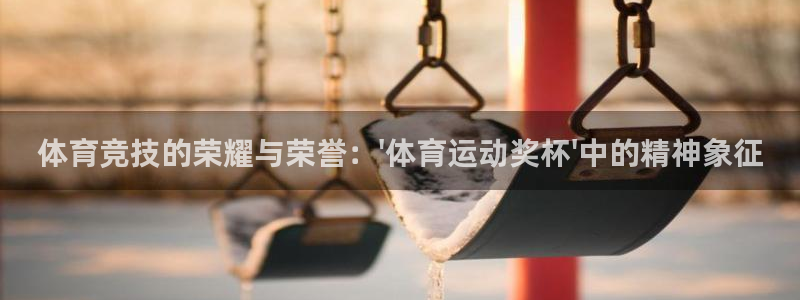 678体育知识