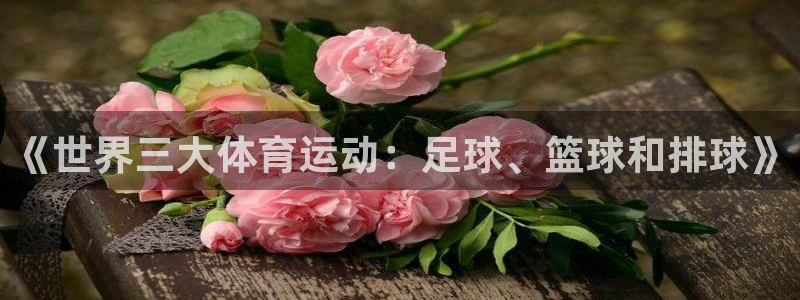 678体育
