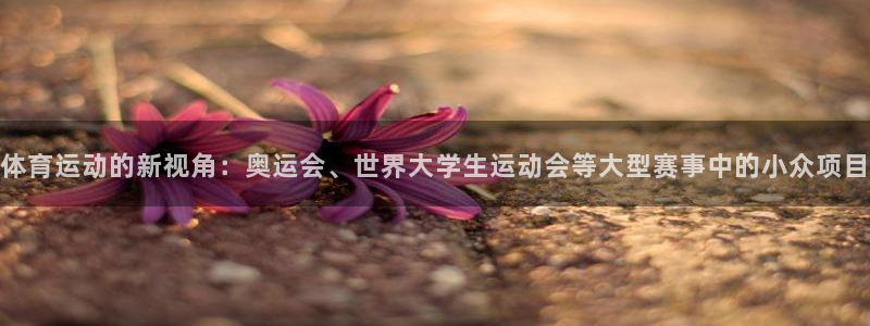 678体育app